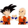 Dragon Ball 21