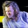 Harry styles 23