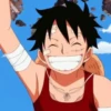 monkey d luffy 20