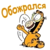 Garfield_2 21