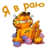 Garfield_2 22