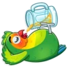 Love Bird 22