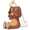 Cupid Dog 22