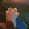 MoonMakerr 24