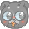 cat 15