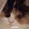 зачем