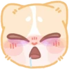 cat 17