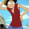 monkey d luffy 22