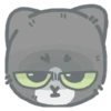 cat 19