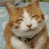 GuGuli face 21
