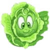 Crazy fruits 24