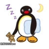 Pingu 21