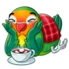 Love Bird 25