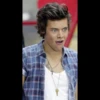 Harry styles 27