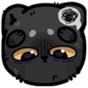 cat 21