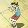 monkey d luffy 25