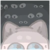 cat 23