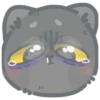 cat 25