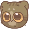 cat 26