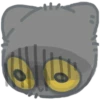 cat 27