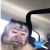 Monkeys 26