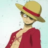monkey d luffy 28
