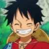 monkey d luffy 29