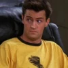 F.R.I.E.N.D.S 29