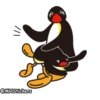 Pingu 27