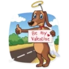 Cupid Dog 30