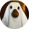 Dogs 11