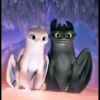 Stich 9