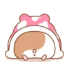 Hamster's small routine. 7