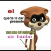 memes novos 12