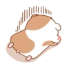 Hamster's small routine. 10