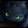 Stich 11