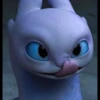 Stich 12