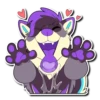 Kizma Husky! 10