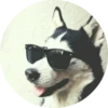 Dogs 21