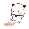 cleisya ' panda 9