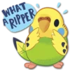 WHAT
ARIPPER