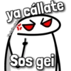 Florksito emputado ᥫ᭡ 25