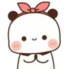 cleisya ' panda 19