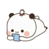cleisya ' panda 21