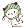 cleisya ' panda 22