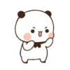 cleisya ' panda 24