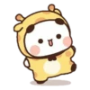 cleisya ' panda 25