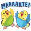 MAAAAATE!