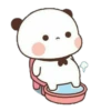 cleisya ' panda 26
