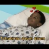 memes novos 23